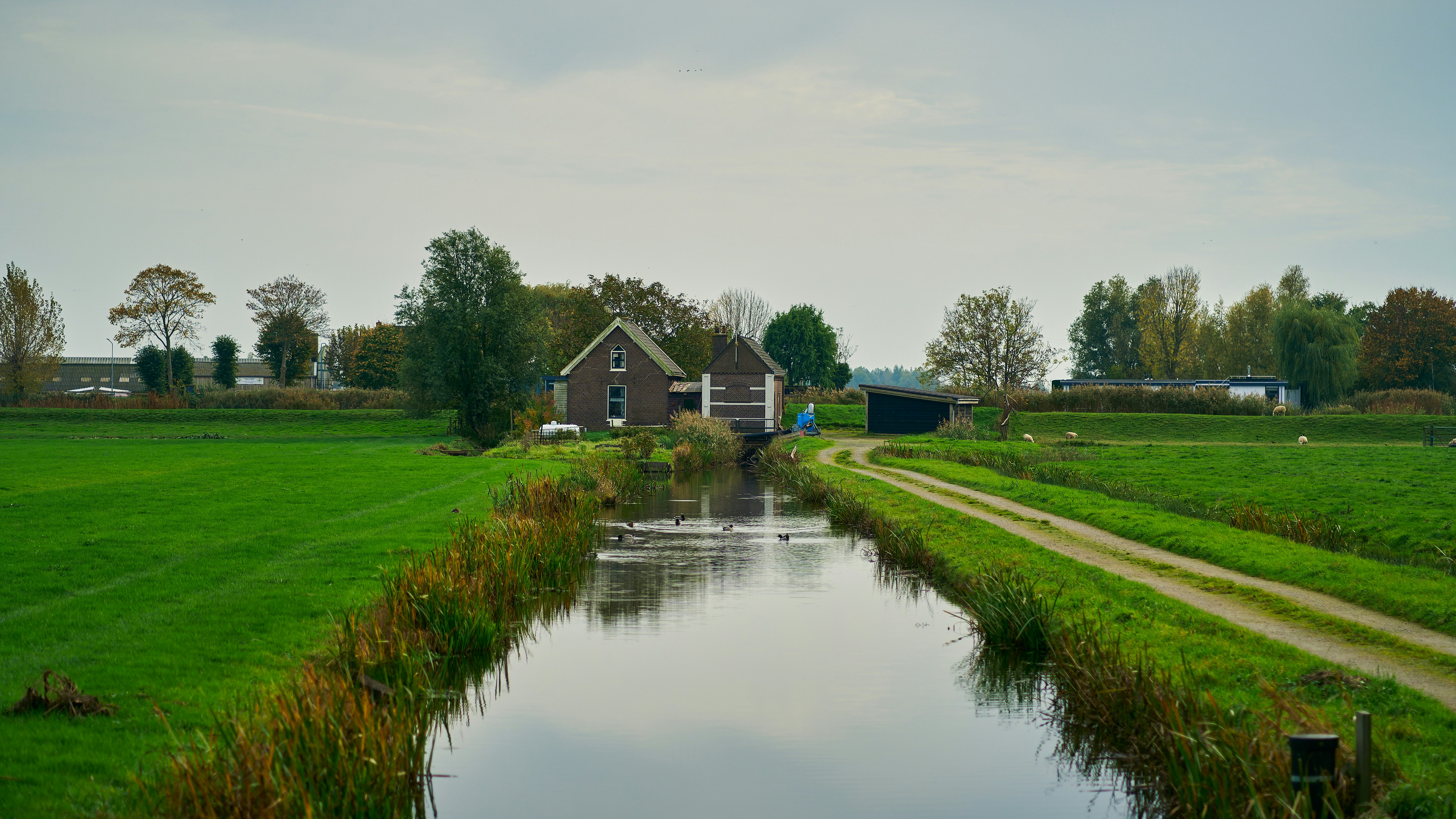 Netherlands